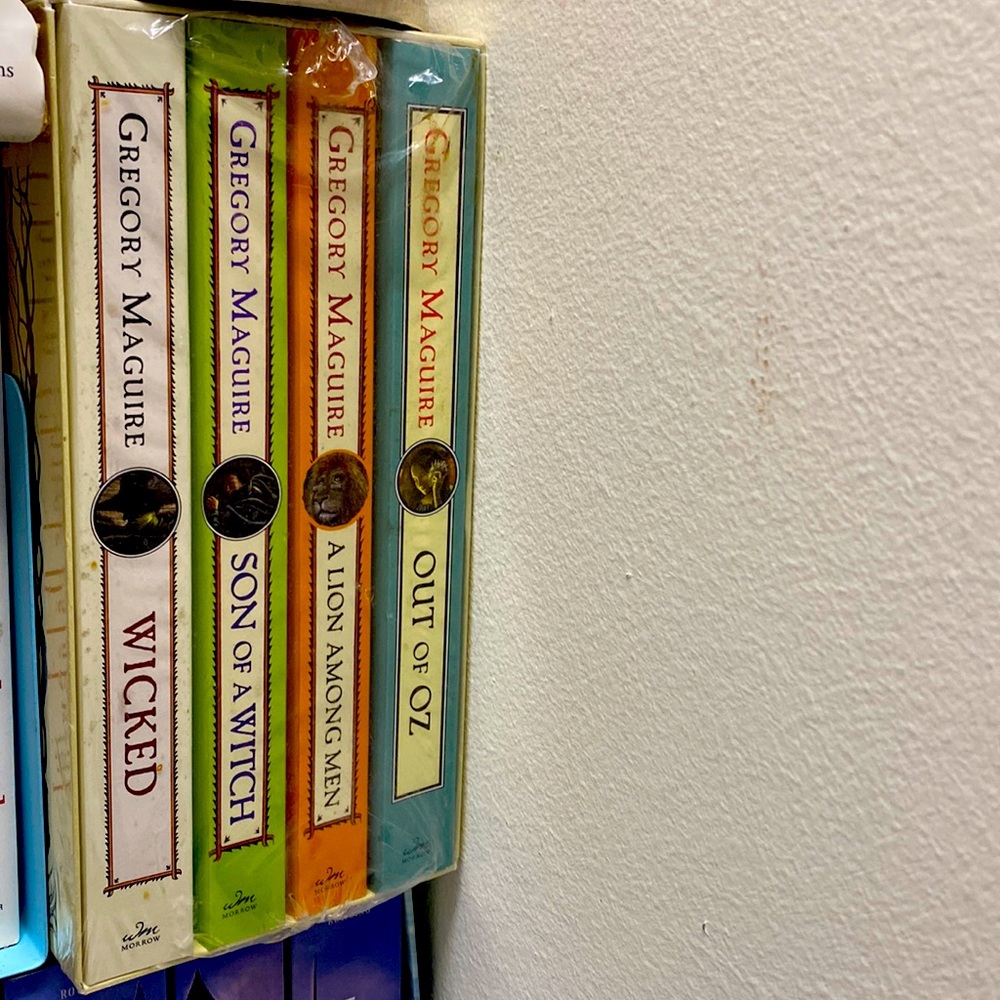 Box set of wicket books by Gregory Maguire